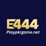 E444 Game